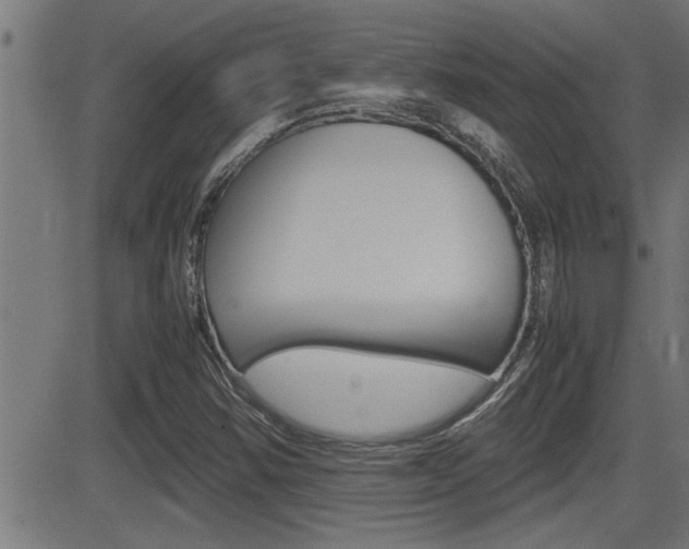 X0000081331354200701110952