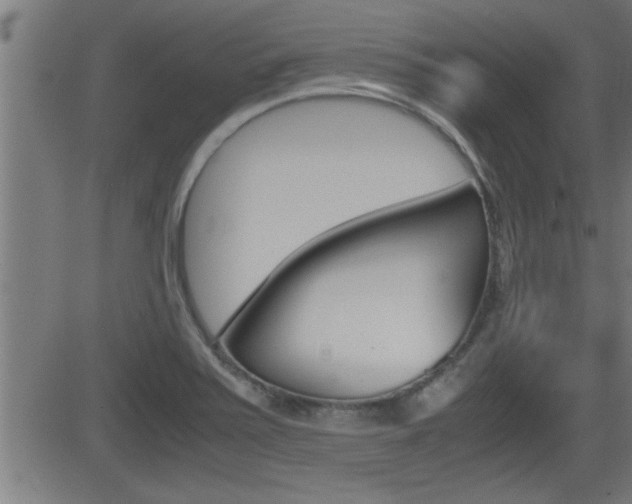 X0000081331371200701110952