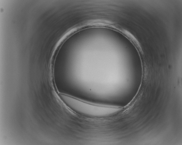 X0000081331384200701110952