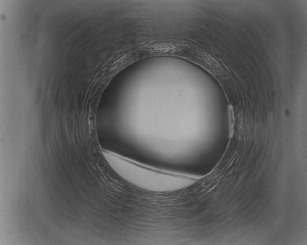 X0000081331394200701110951