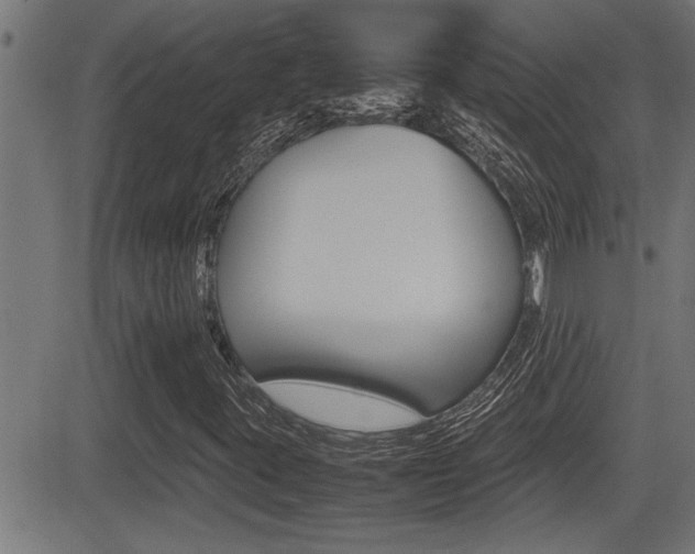 X0000081331395200701110951