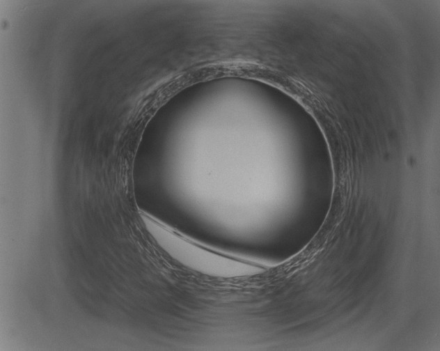 X0000081331398200701110951