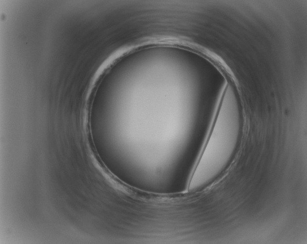 X0000081331424200701110952