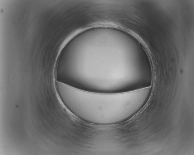 X0000081331440200701110952
