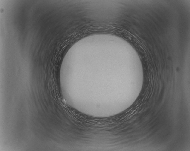 X0000081331441200701110951