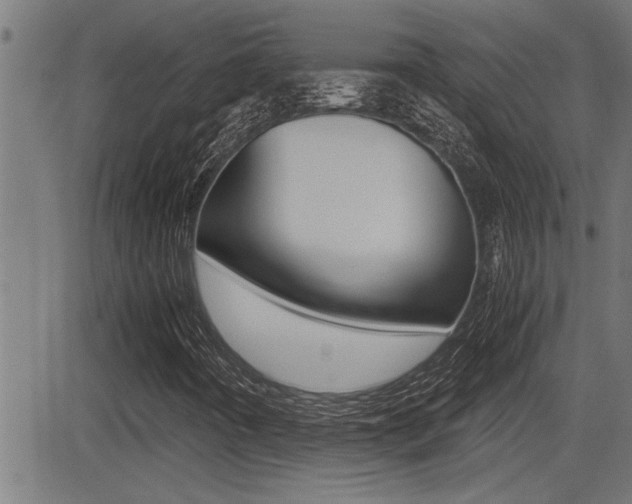 X0000081331442200701110951