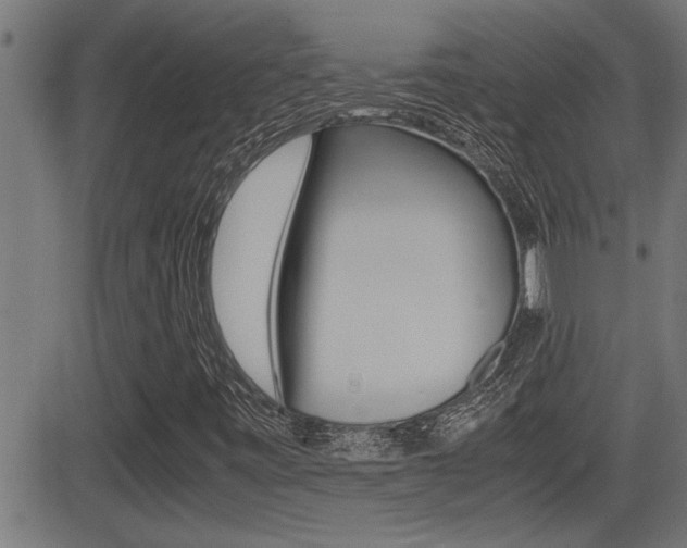 X0000081331443200701110951