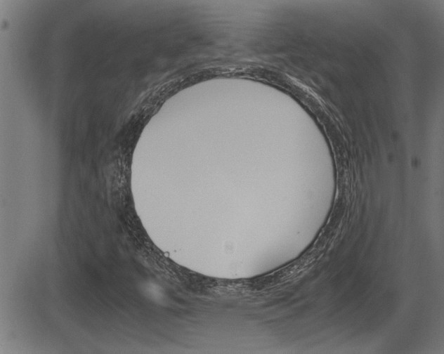 X0000081331447200701110951
