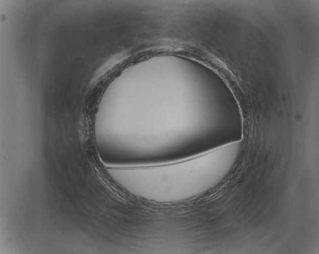 X0000081331448200701110951