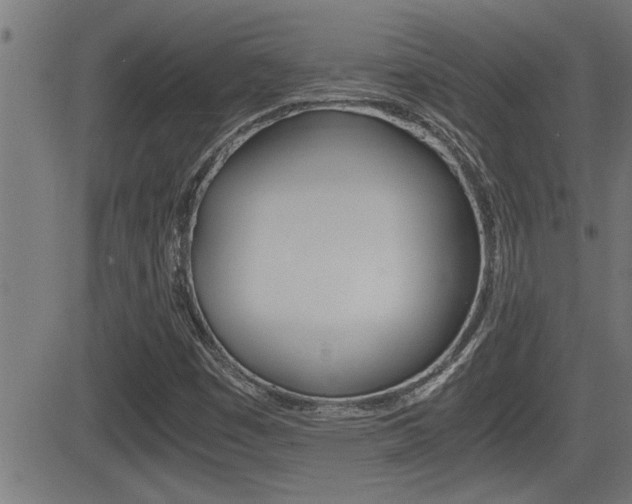 X0000081331449200701110951