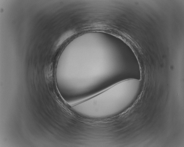 X0000081331450200701110951