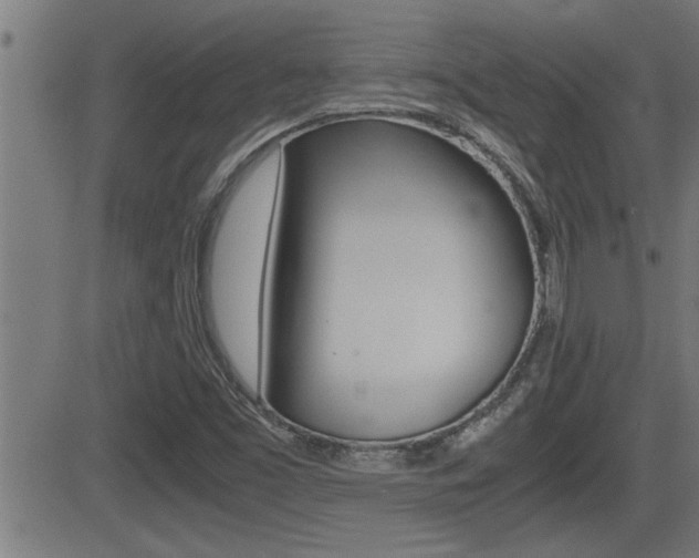X0000081331453200701110951