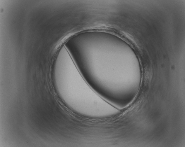 X0000081331455200701110951