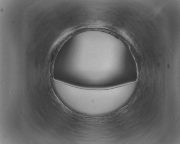 X0000081331456200701110951