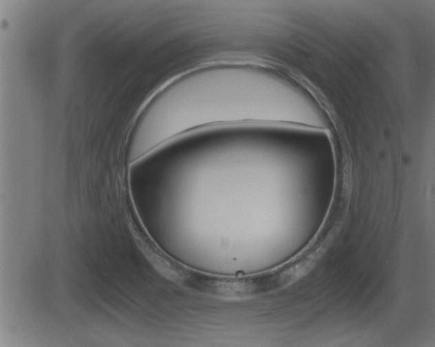 X0000081331465200701110951