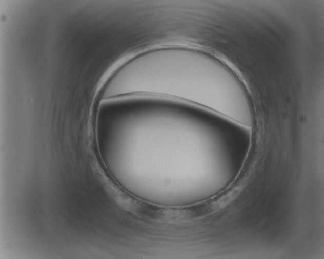 X0000081331469200701110950