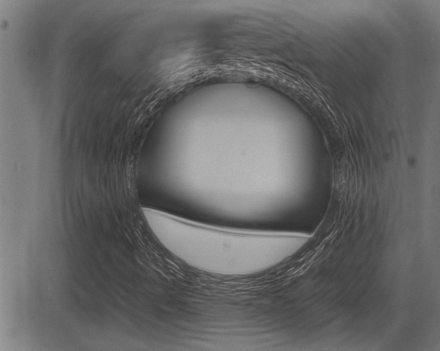 X0000081331490200701110949