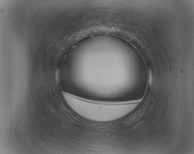 X0000081331492200701110949