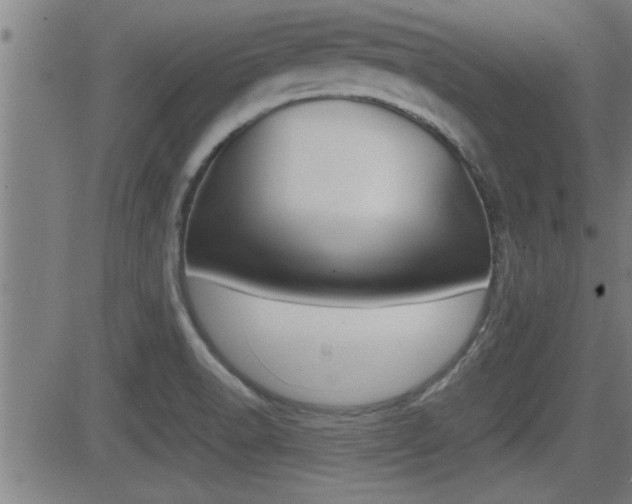 X0000081331518200701110950
