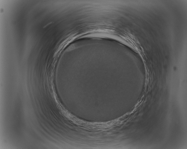 X0000081330001200701111410