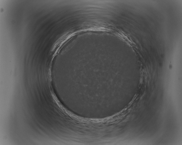 X0000081330002200701111410
