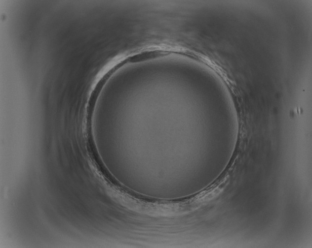 X0000081330008200701111410