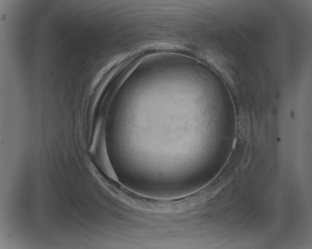 X0000081330015200701111410