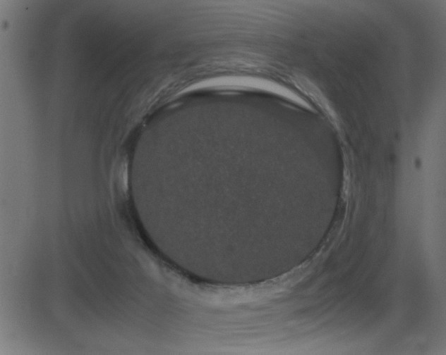 X0000081330021200701111410