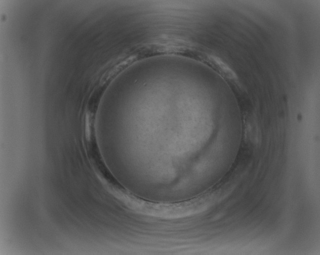 X0000081330026200701111410