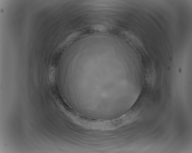 X0000081330036200701111410