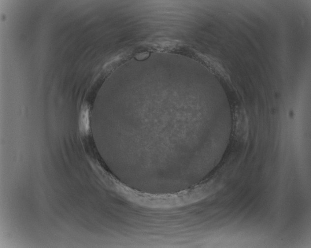 X0000081330042200701111410