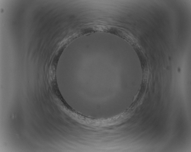 X0000081330043200701111410