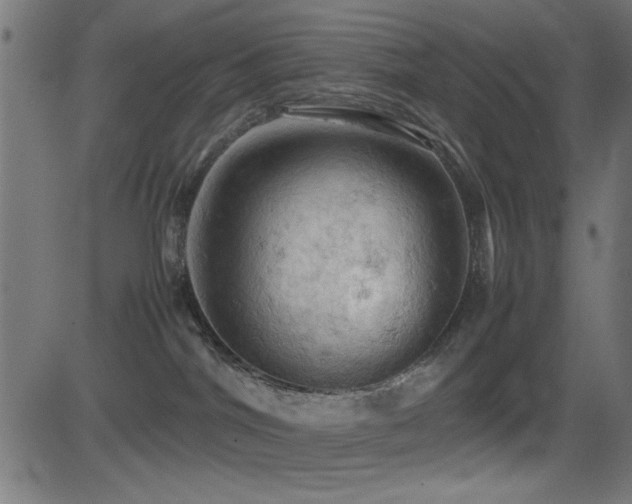X0000081330044200701111410