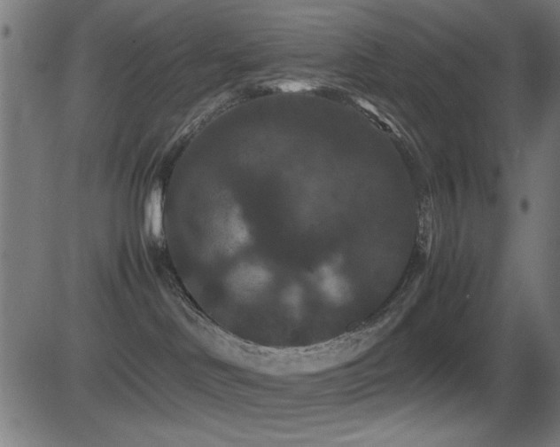 X0000081330046200701111410