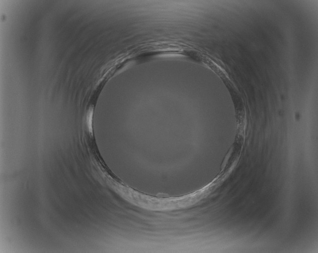 X0000081330047200701111410