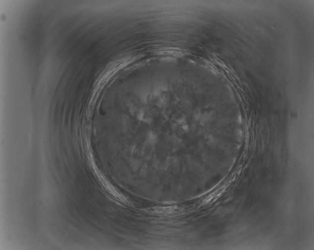 X0000081330049200701111409