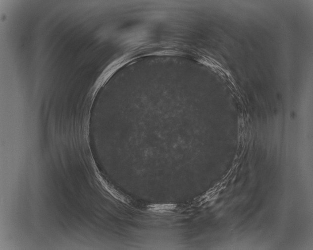 X0000081330051200701111409