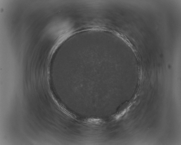 X0000081330055200701111409