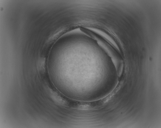X0000081330066200701111409