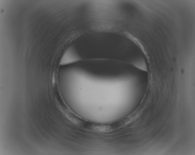 X0000081330069200701111409