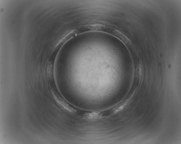 X0000081330092200701111410
