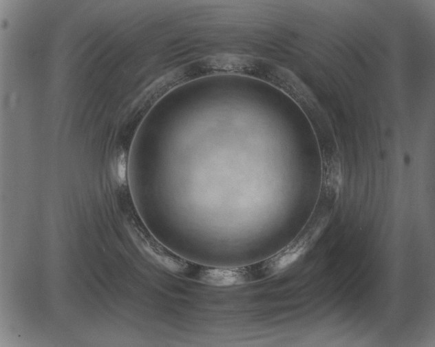 X0000081330095200701111410