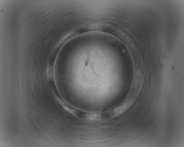 X0000081330096200701111410