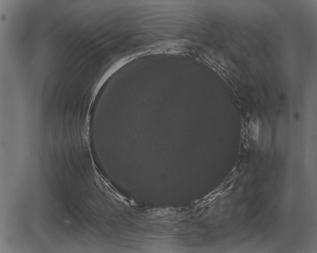 X0000081330100200701111409
