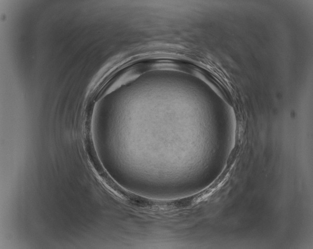 X0000081330101200701111409