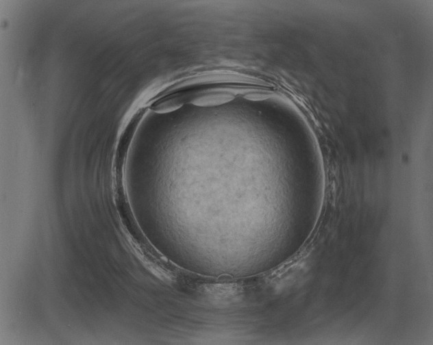 X0000081330102200701111409