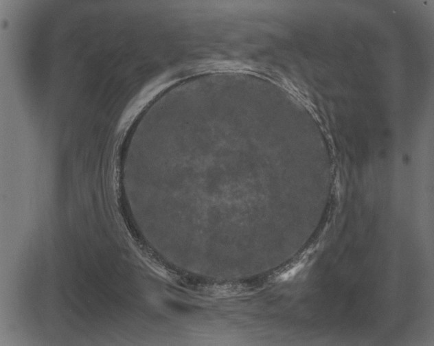 X0000081330103200701111409