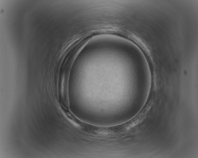 X0000081330105200701111409