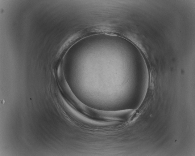 X0000081330109200701111409