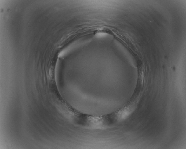 X0000081330139200701111408